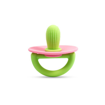 Les jouets à dents de cactus pour bébés ne contiennent pas de bisphénol A naturel